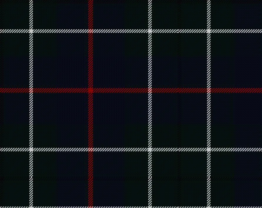 Duncan Modern Tartan Scarf
