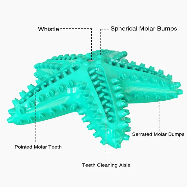 Enrichment Starfish Squeaker Dog Toy